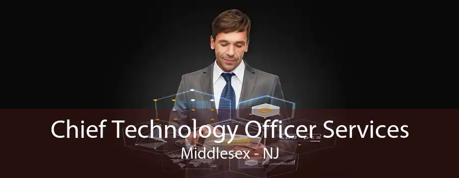 Chief Technology Officer Services Middlesex - NJ