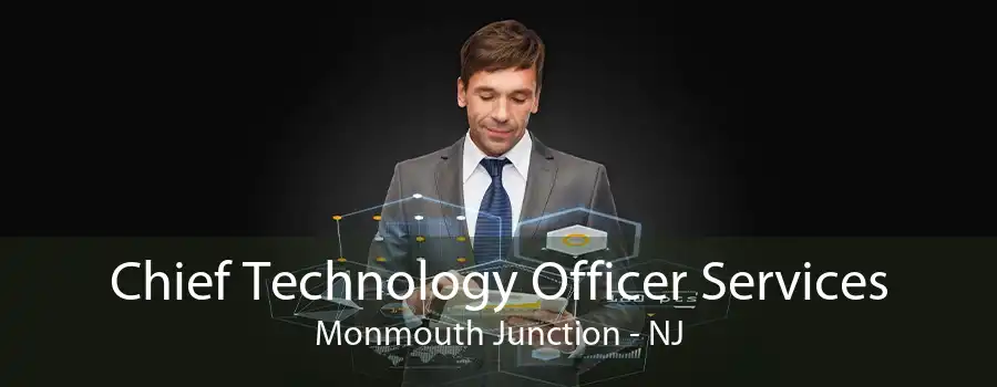 Chief Technology Officer Services Monmouth Junction - NJ