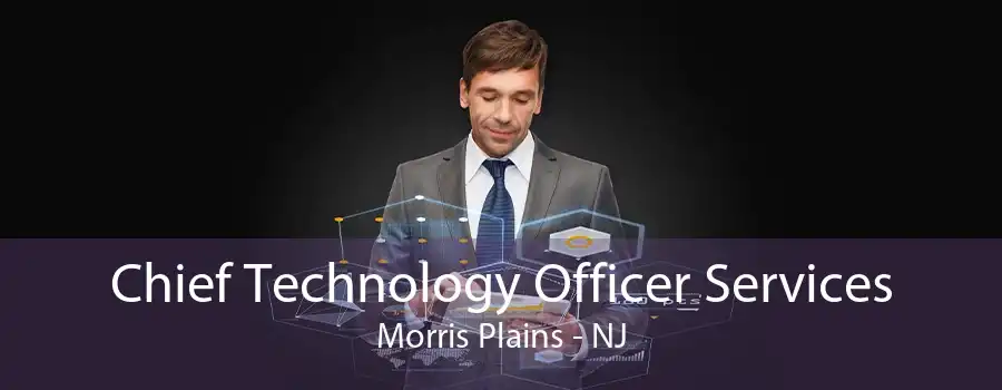 Chief Technology Officer Services Morris Plains - NJ