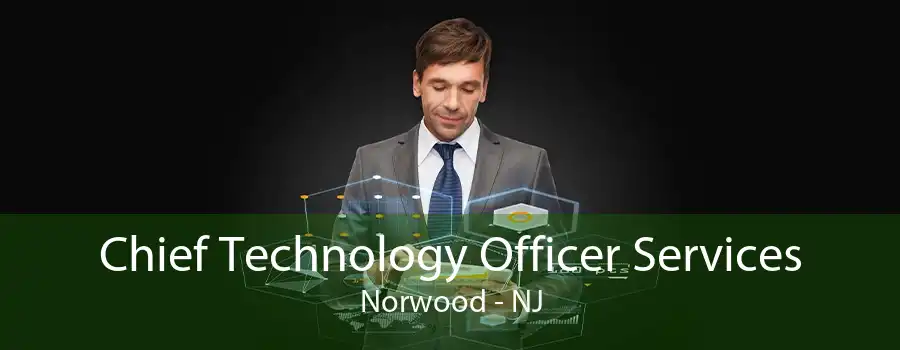 Chief Technology Officer Services Norwood - NJ