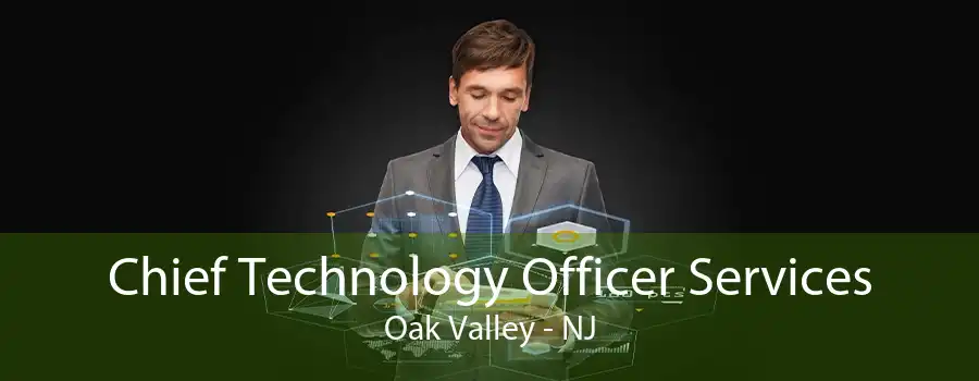 Chief Technology Officer Services Oak Valley - NJ