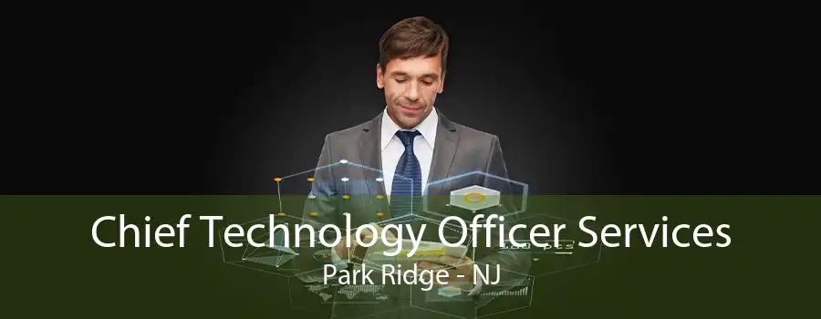 Chief Technology Officer Services Park Ridge - NJ