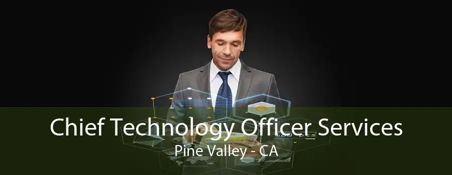 Chief Technology Officer Services Pine Valley - CA