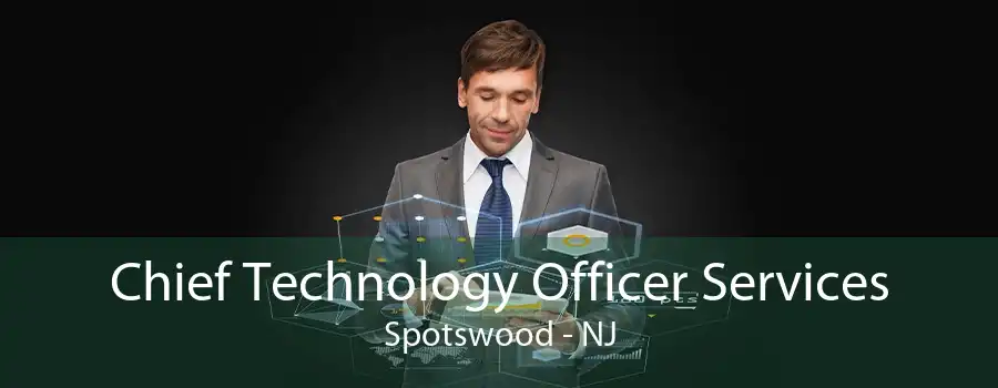 Chief Technology Officer Services Spotswood - NJ