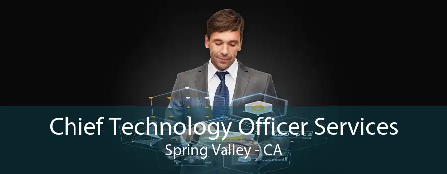 Chief Technology Officer Services Spring Valley - CA