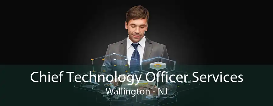 Chief Technology Officer Services Wallington - NJ