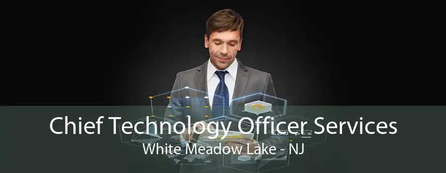 Chief Technology Officer Services White Meadow Lake - NJ