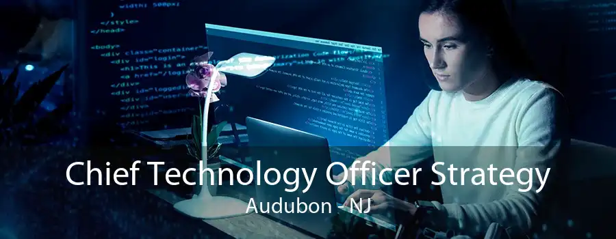 Chief Technology Officer Strategy Audubon - NJ