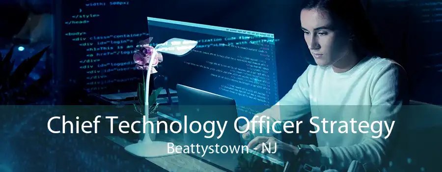 Chief Technology Officer Strategy Beattystown - NJ