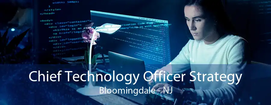 Chief Technology Officer Strategy Bloomingdale - NJ