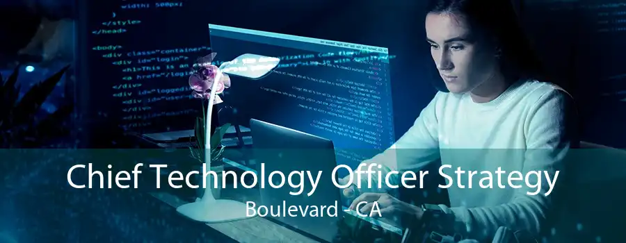 Chief Technology Officer Strategy Boulevard - CA