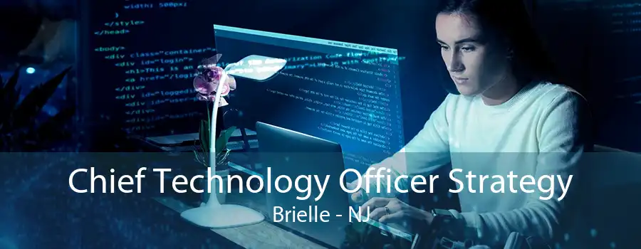 Chief Technology Officer Strategy Brielle - NJ