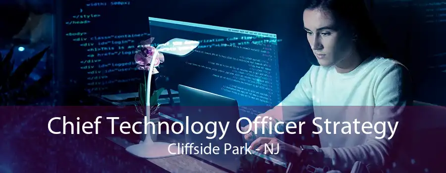 Chief Technology Officer Strategy Cliffside Park - NJ