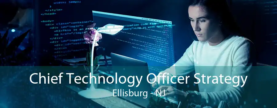 Chief Technology Officer Strategy Ellisburg - NJ