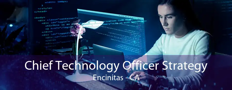 Chief Technology Officer Strategy Encinitas - CA