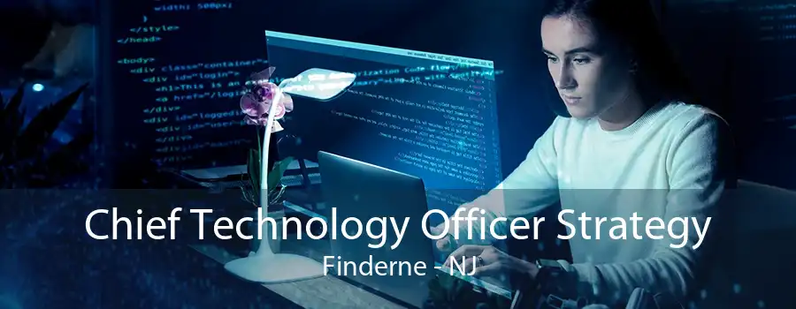 Chief Technology Officer Strategy Finderne - NJ