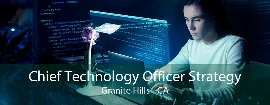 Chief Technology Officer Strategy Granite Hills - CA