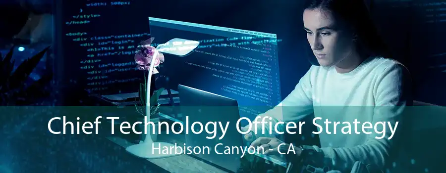 Chief Technology Officer Strategy Harbison Canyon - CA