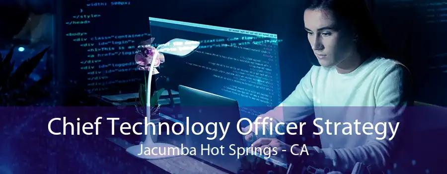 Chief Technology Officer Strategy Jacumba Hot Springs - CA