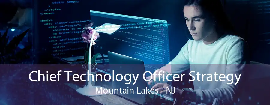 Chief Technology Officer Strategy Mountain Lakes - NJ