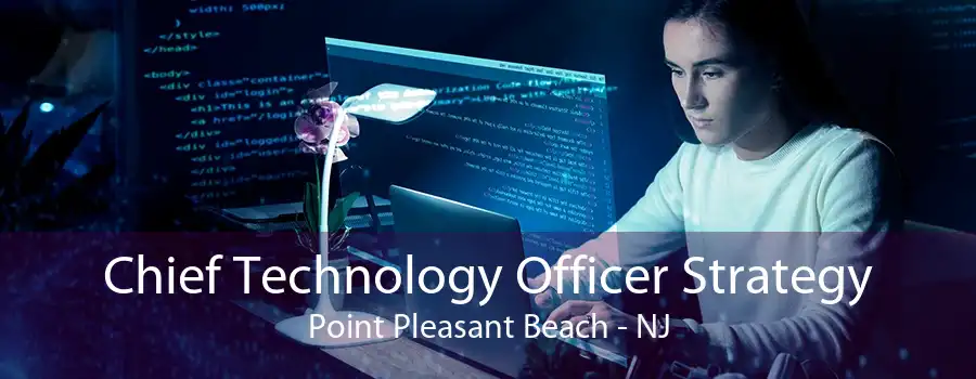 Chief Technology Officer Strategy Point Pleasant Beach - NJ