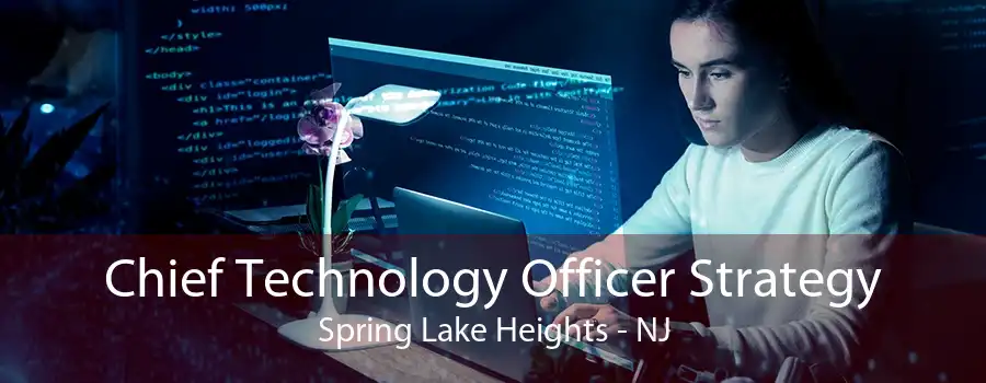 Chief Technology Officer Strategy Spring Lake Heights - NJ