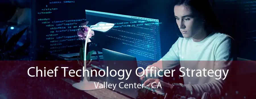 Chief Technology Officer Strategy Valley Center - CA