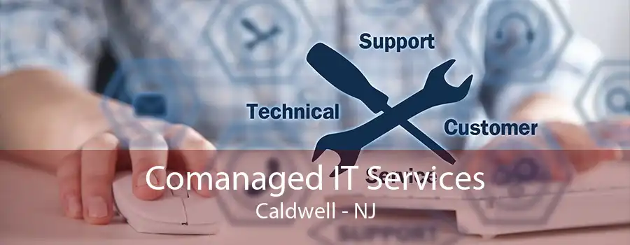 Comanaged IT Services Caldwell - NJ