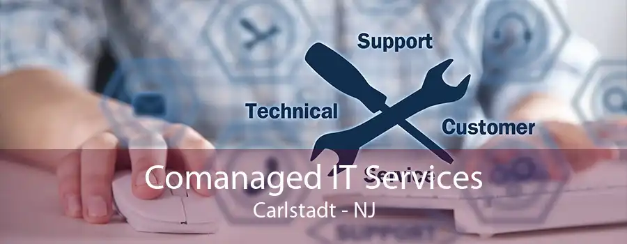 Comanaged IT Services Carlstadt - NJ