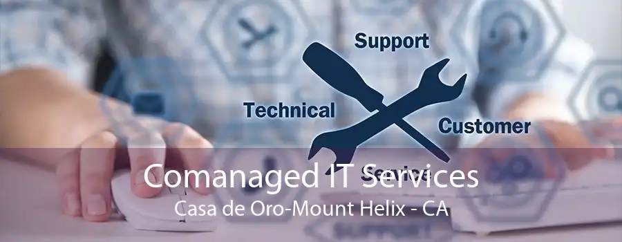 Comanaged IT Services Casa de Oro-Mount Helix - CA