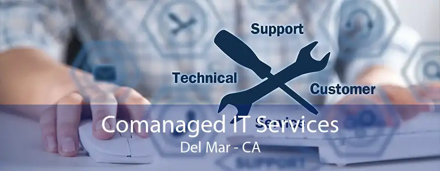 Comanaged IT Services Del Mar - CA