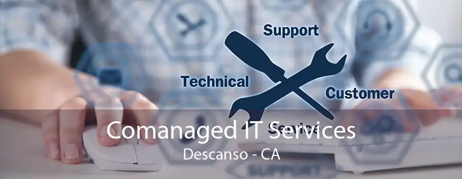 Comanaged IT Services Descanso - CA