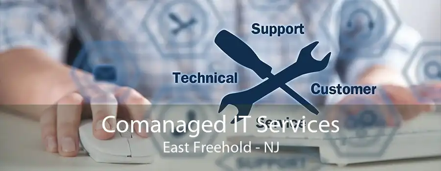 Comanaged IT Services East Freehold - NJ