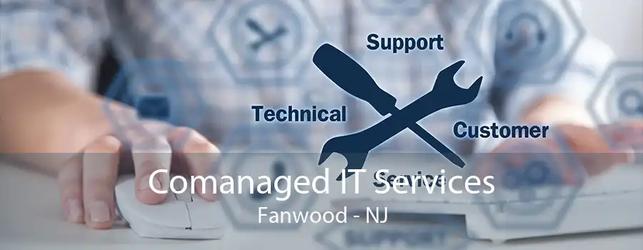 Comanaged IT Services Fanwood - NJ