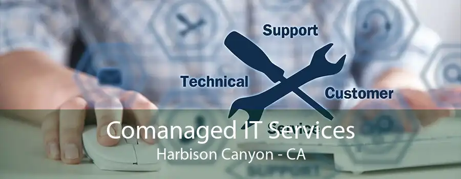 Comanaged IT Services Harbison Canyon - CA