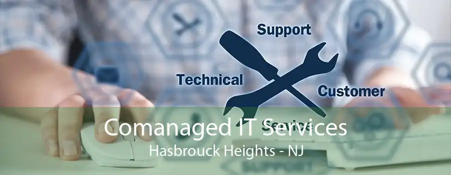 Comanaged IT Services Hasbrouck Heights - NJ