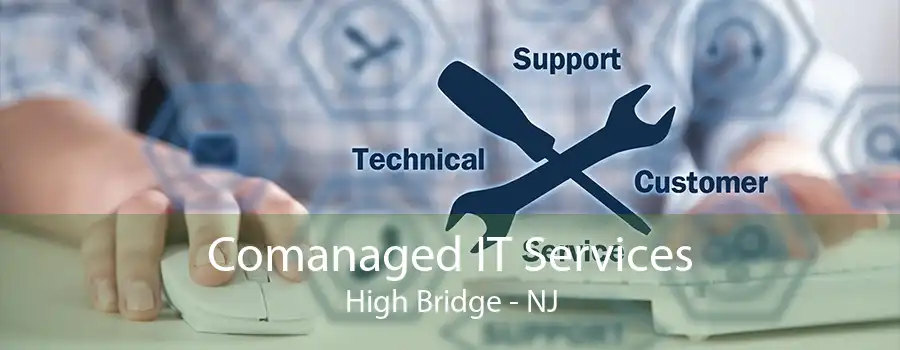 Comanaged IT Services High Bridge - NJ