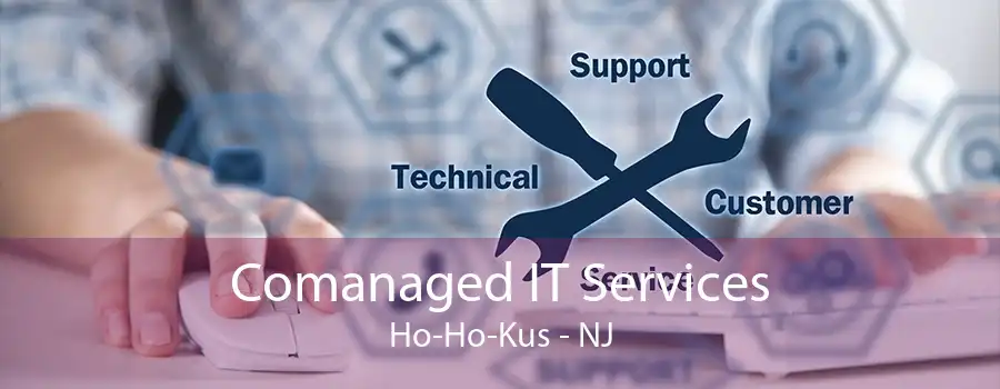 Comanaged IT Services Ho-Ho-Kus - NJ