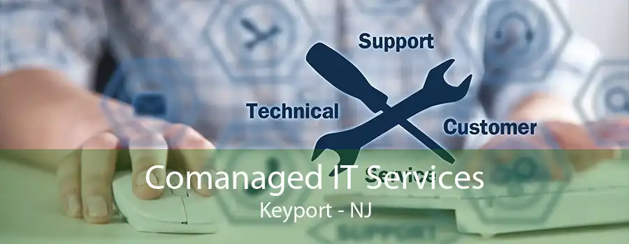 Comanaged IT Services Keyport - NJ