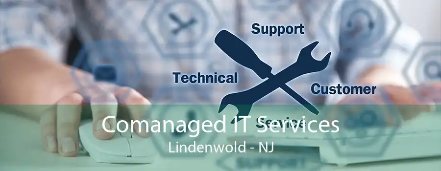 Comanaged IT Services Lindenwold - NJ