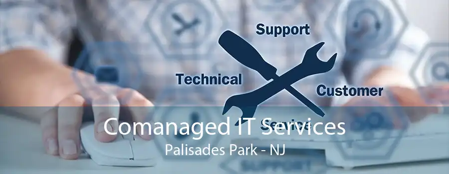 Comanaged IT Services Palisades Park - NJ