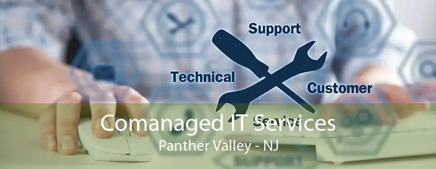 Comanaged IT Services Panther Valley - NJ