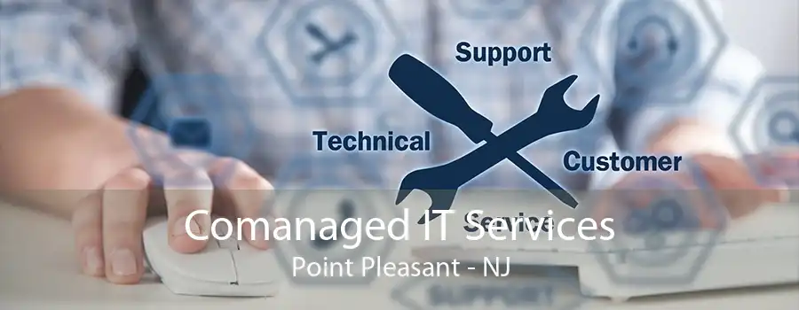 Comanaged IT Services Point Pleasant - NJ