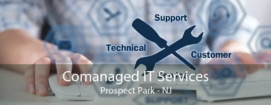 Comanaged IT Services Prospect Park - NJ