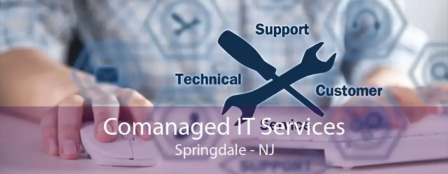 Comanaged IT Services Springdale - NJ