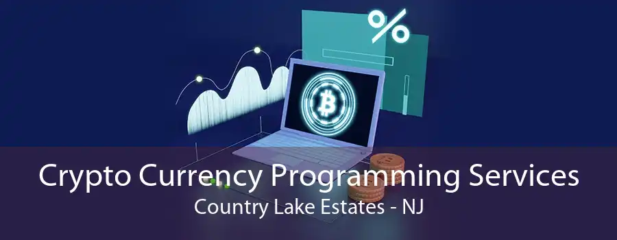 Crypto Currency Programming Services Country Lake Estates - NJ