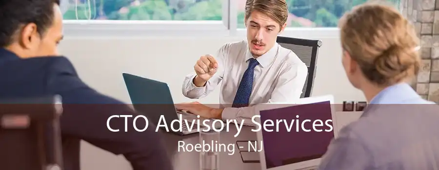 CTO Advisory Services Roebling - NJ