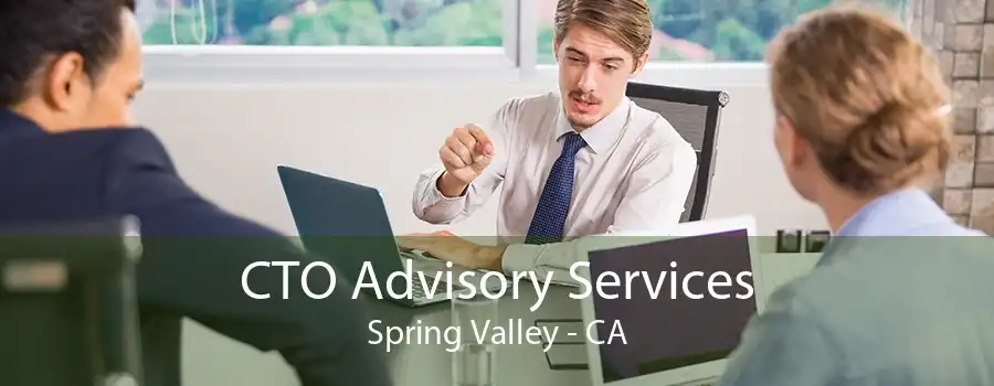 CTO Advisory Services Spring Valley - CA