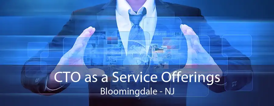 CTO as a Service Offerings Bloomingdale - NJ