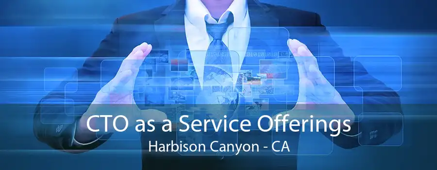 CTO as a Service Offerings Harbison Canyon - CA